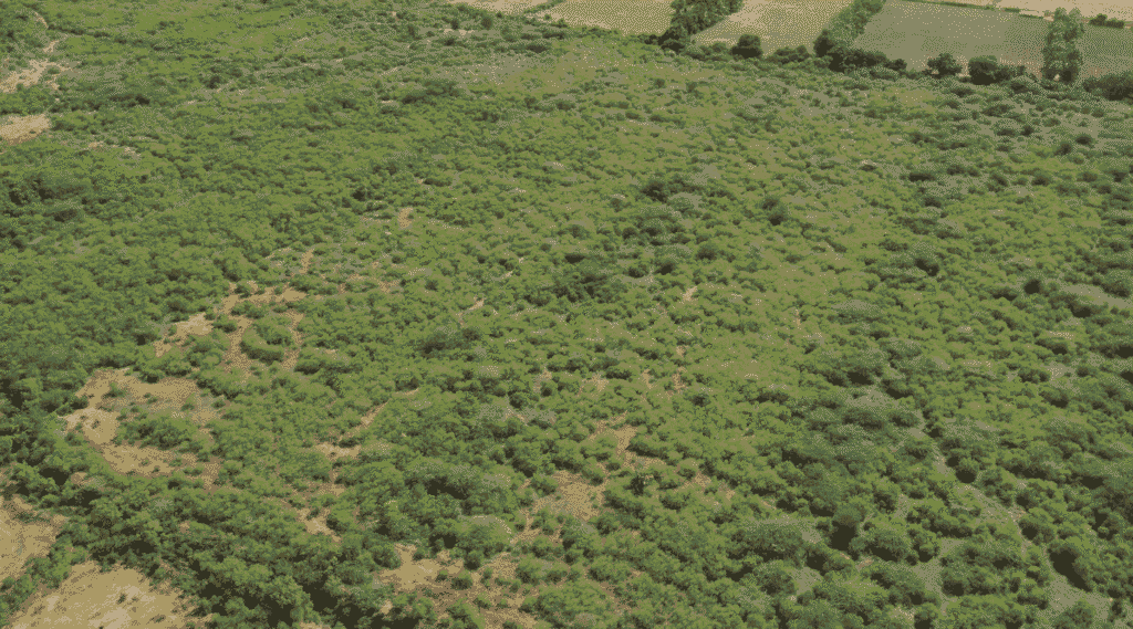 Screenshot-2025-09-23-115332