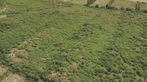 Screenshot-2025-09-23-115332