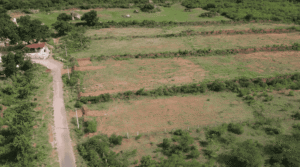 Screenshot-2025-09-23-115356