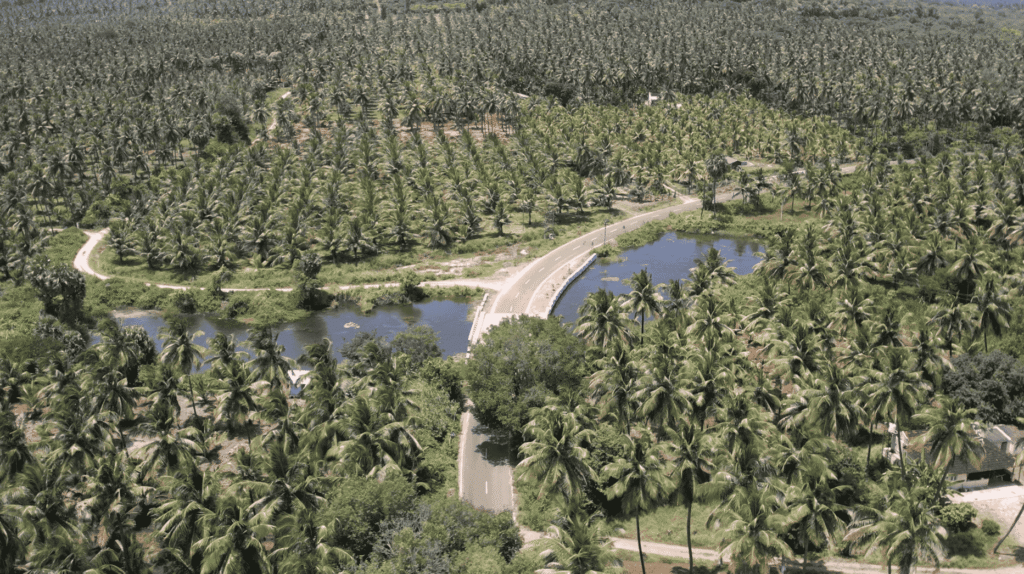 Screenshot-2025-09-30-113339