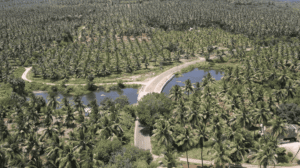 Screenshot-2025-09-30-113339