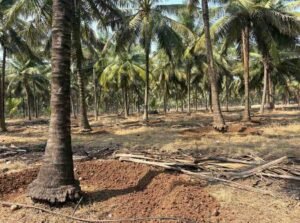 WhatsAppImage2026-02-03at11.19.17AM