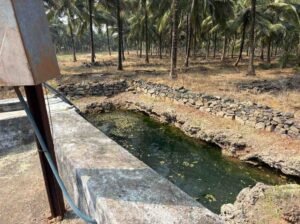 WhatsAppImage2026-02-03at11.19.20AM1