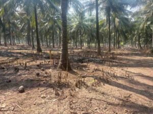 WhatsAppImage2026-02-03at11.19.23AM