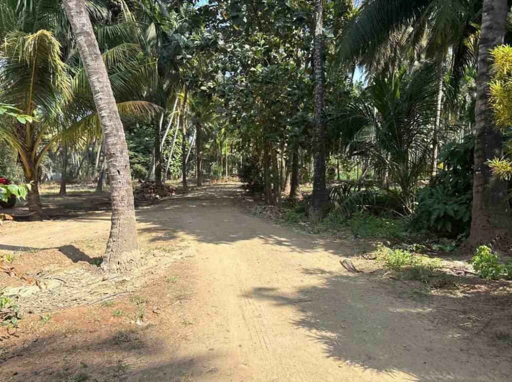 WhatsAppImage2026-02-03at11.30.00AM