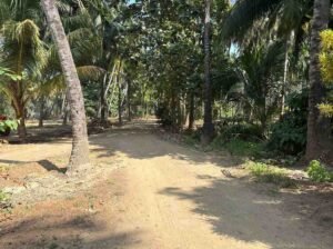 WhatsAppImage2026-02-03at11.30.00AM