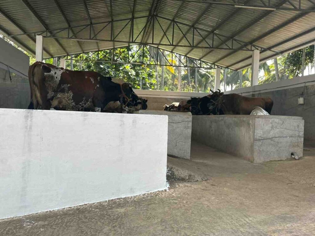 WhatsAppImage2026-02-03at11.30.00AM1