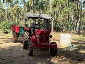 WhatsAppImage2026-02-03at11.30.01AM