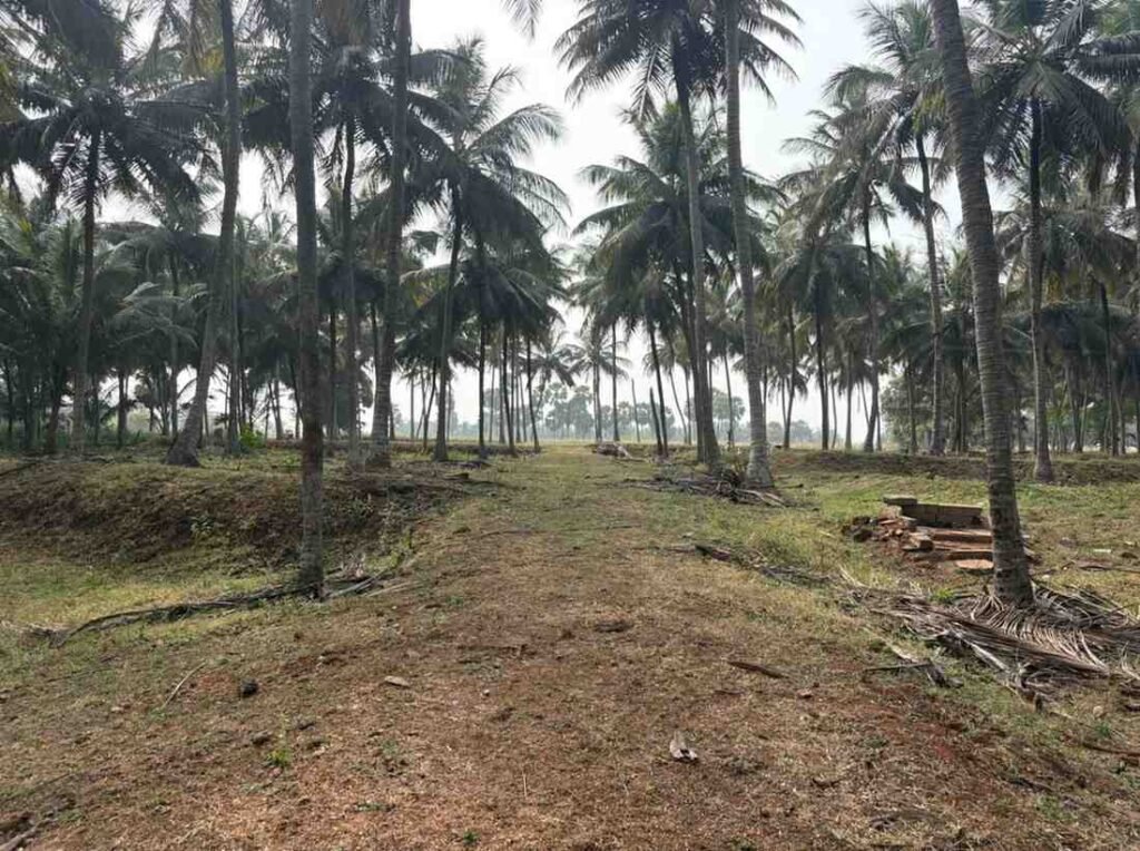 WhatsAppImage2026-02-12at12.33.16PM1