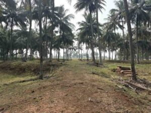 WhatsAppImage2026-02-12at12.33.16PM1