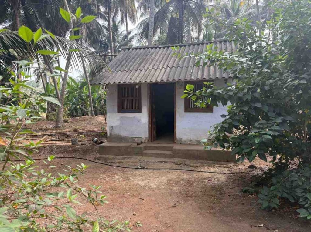 WhatsAppImage2026-02-12at12.33.18PM1