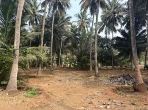 WhatsAppImage2026-02-12at12.33.19PM