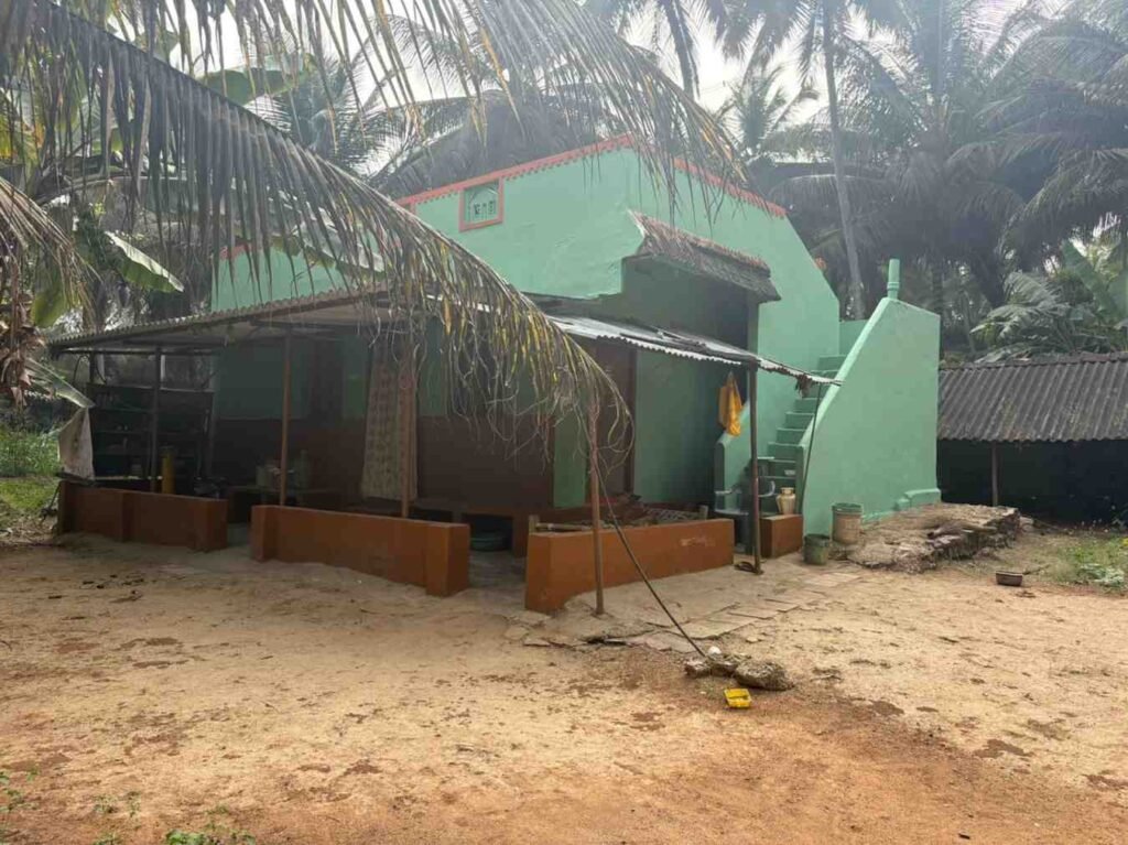 WhatsAppImage2026-02-12at12.44.11PM