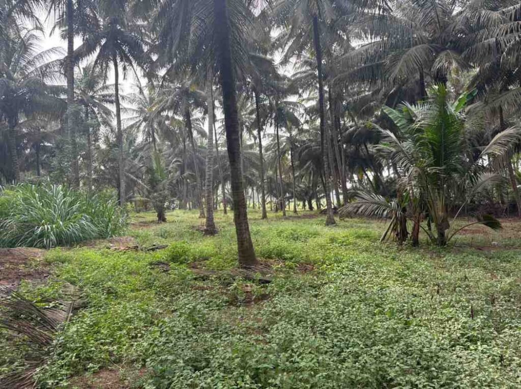 WhatsAppImage2026-02-12at12.44.11PM1