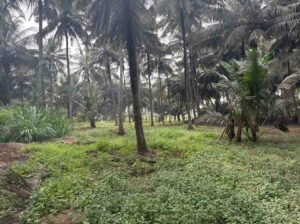 WhatsAppImage2026-02-12at12.44.11PM1