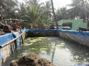 WhatsAppImage2026-02-12at12.44.11PM2