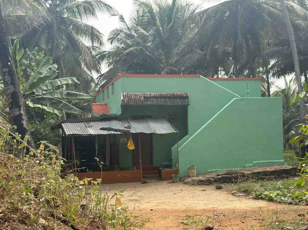 WhatsAppImage2026-02-12at12.44.12PM1