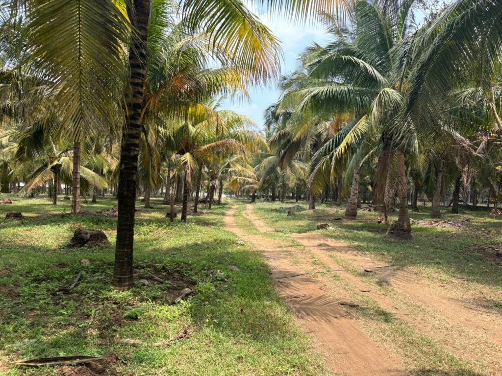 WhatsApp-Image-2026-03-30-at-11.04.34-AM-1