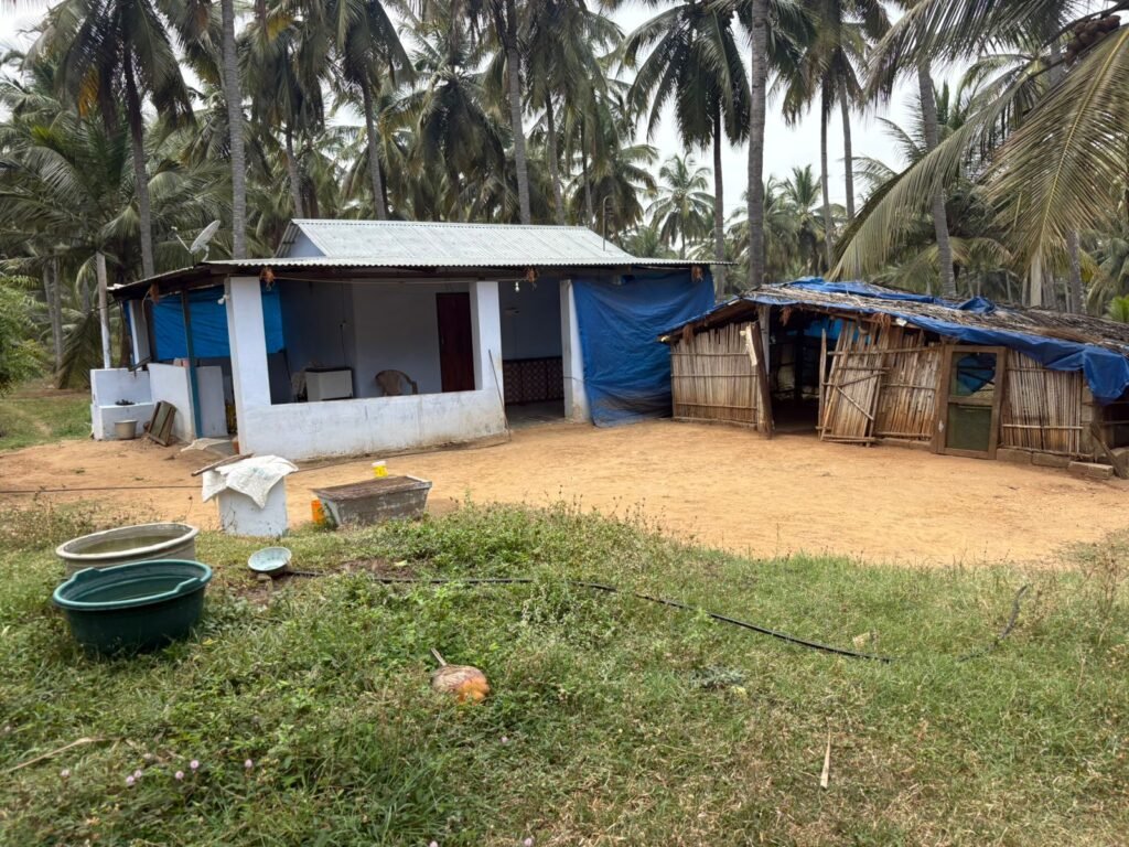 WhatsApp-Image-2026-03-30-at-11.04.34-AM