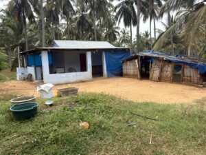 WhatsApp-Image-2026-03-30-at-11.04.34-AM