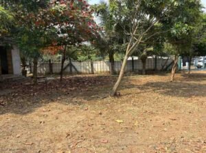 WhatsAppImage2026-03-01at11.09.32AM