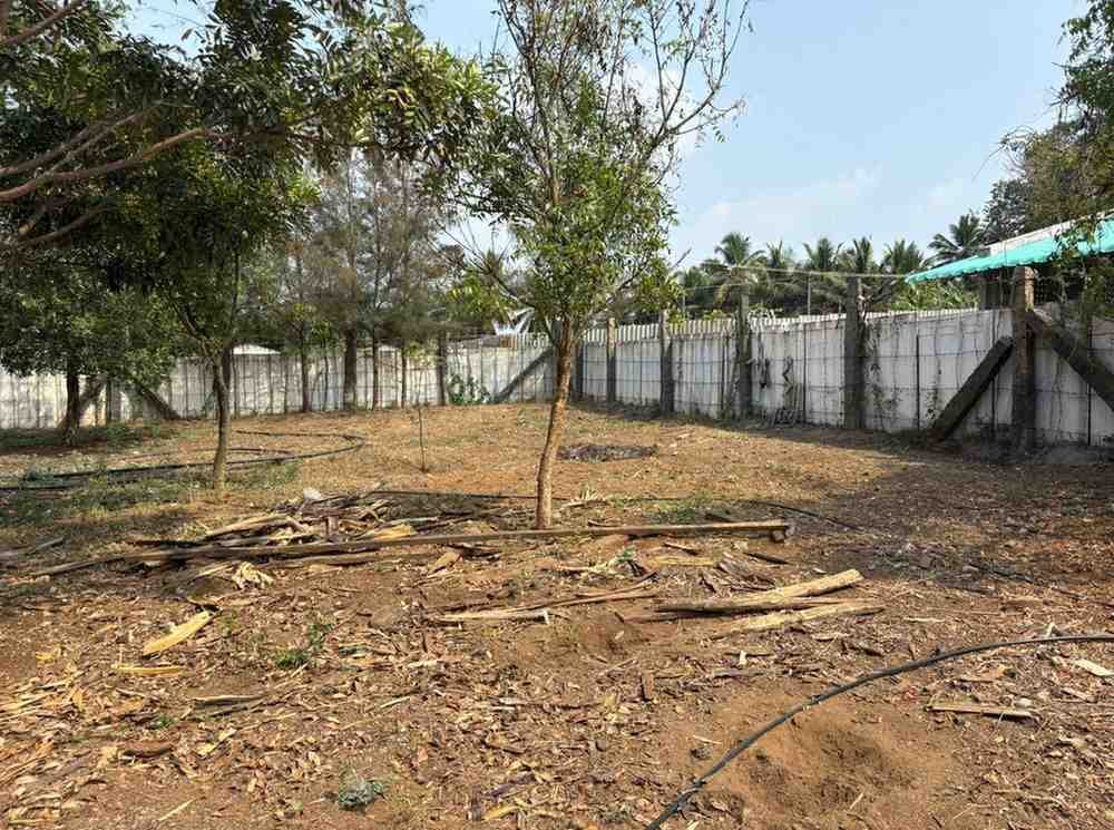 WhatsAppImage2026-03-01at11.09.32AM1