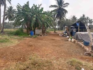 WhatsAppImage2026-03-04at10.24.18AM1