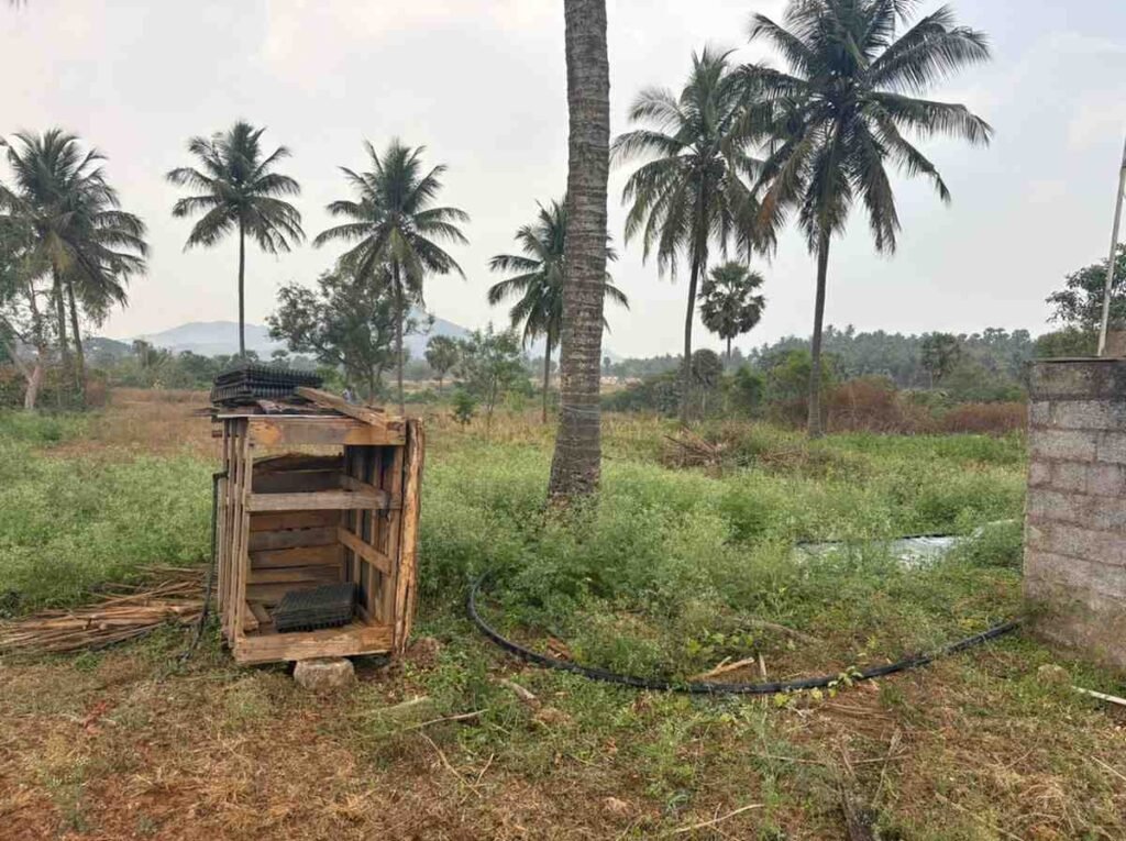 WhatsAppImage2026-03-04at10.24.19AM