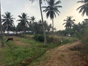 WhatsAppImage2026-03-04at10.24.19AM1