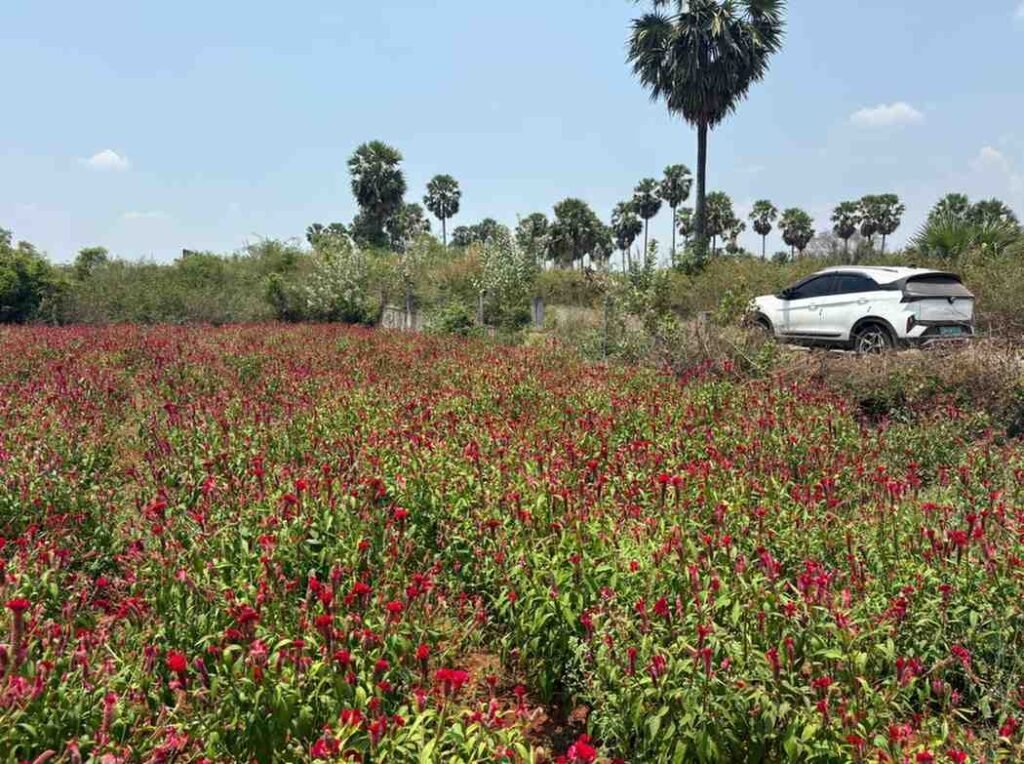 WhatsAppImage2026-03-23at10.40.07AM1