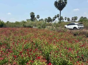 WhatsAppImage2026-03-23at10.40.07AM1