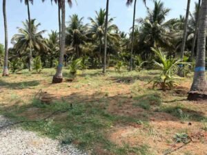 WhatsAppImage2026-03-23at10.40.11AM