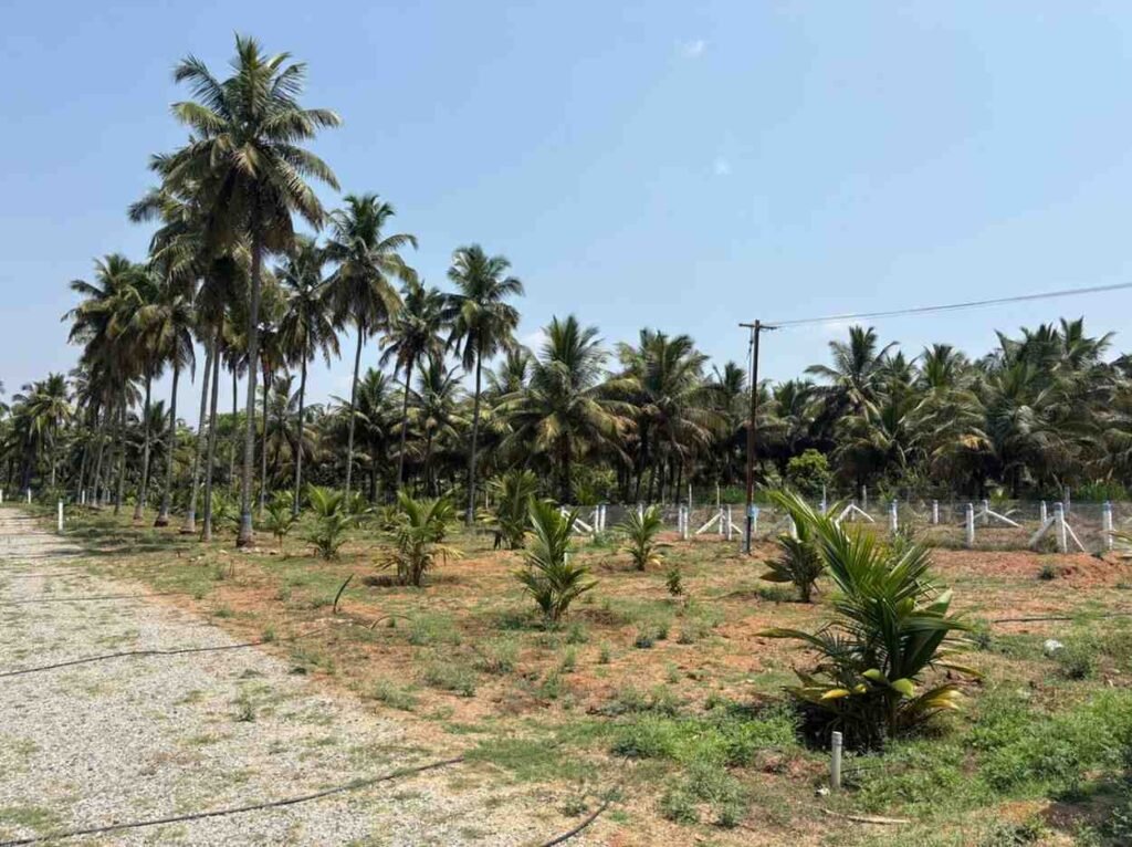 WhatsAppImage2026-03-23at10.40.11AM1