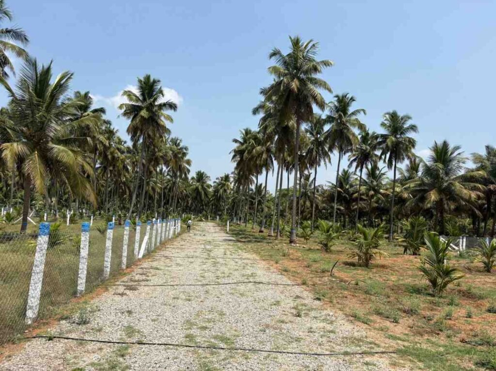 WhatsAppImage2026-03-23at10.40.11AM2