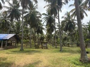 WhatsAppImage2026-03-30at11.04.32AM