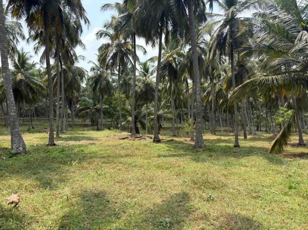 WhatsAppImage2026-03-30at11.04.33AM